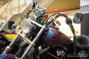 Harley Davidson Yokera